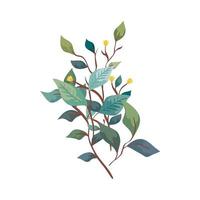 Ramas con hojas naturaleza ecología icono aislado vector
