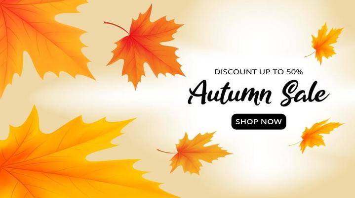 Autumn sale banner template with maple leaves are falling down