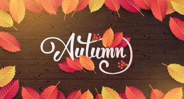 Autumn banner background layout decorate with leaves vector