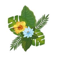 cute flowers with branches and leafs isolated icon vector