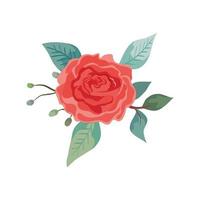 cute rose with leafs natural isolated icon vector