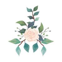 cute rose with branches and leafs isolated icon vector