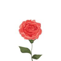 cute rose with branch and leafs isolated icon vector