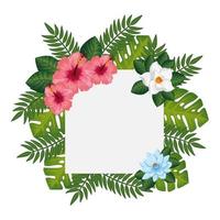 frame of flowers with leafs isolated icon vector