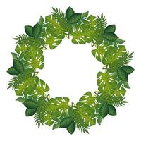 frame circular of leafs tropicals isolated icon vector
