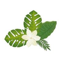 cute flower with branches and leafs isolated icon vector