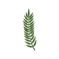 branch with leafs nature ecology isolated icon vector