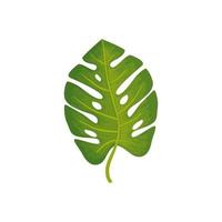 leaf nature tropical isolated icon vector