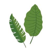 hojas, naturaleza, tropical, aislado, icono vector