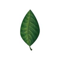 leaf nature tropical isolated icon vector