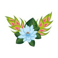 flower with heliconias and leafs nature vector