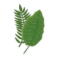 leafs nature tropical isolated icon vector