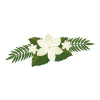 cute flower with branches and leafs isolated icon vector