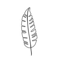 leaf nature tropical line style icon vector