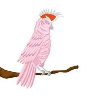 loro rosa animal exótico en rama icono aislado vector