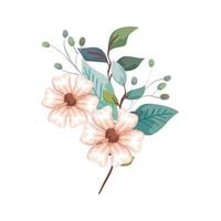 cute flowers with branches and leafs isolated icon vector