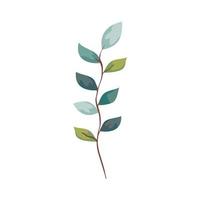 rama con hojas naturaleza ecología icono aislado vector