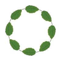Marco circular de hojas naturaleza icono aislado vector