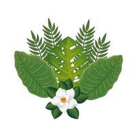 cute flower with branches and leafs isolated icon vector