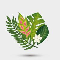 decoration of flowers with leafs tropicals nature vector