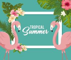 cartel de verano tropical con flamencos y flores. vector