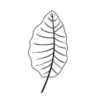 icono de estilo de línea tropical de naturaleza de hoja vector