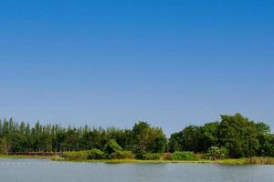 árboles y lago bajo un cielo azul claro en verano