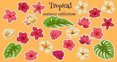 Tropical collection with exotic flowers and carved leaves
