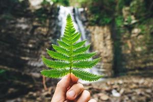 Green leaf of ferns in hand on background of rocks and waterfall photo