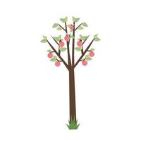 Apple tree with ripe fruits. Illustration in flat style, isolated. vector