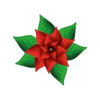 flower christmas decorative with leafs vector