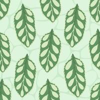 Unique Tropical Plant Leaves Seamless Pattern vector