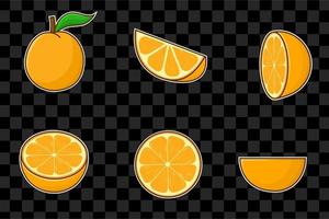 Set of sliced orange isolated vector illustration with outline