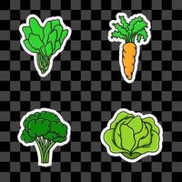 Conjunto de ilustración de vector aislado de verduras con contorno blanco