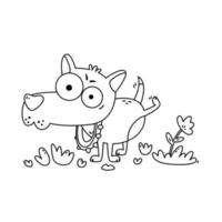 Little dog with big eyes pee on flower. Chihuahua on walk. vector