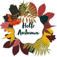 Hello autumn background with leaves frame. Vector illustration