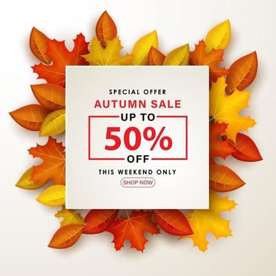 Special Autumn sale with boards on leaves.