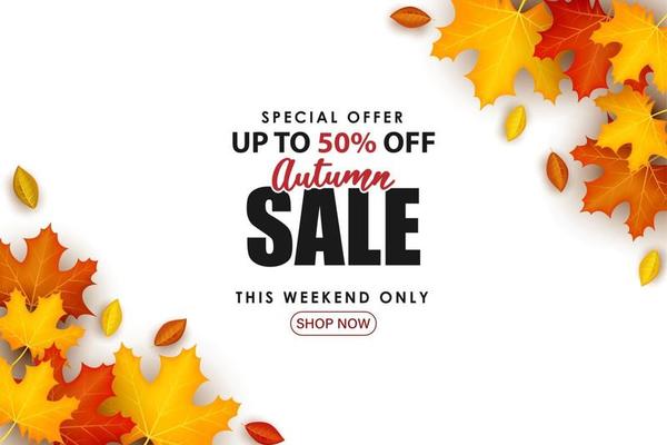 Special Autumn sale with leaves on the right and left.