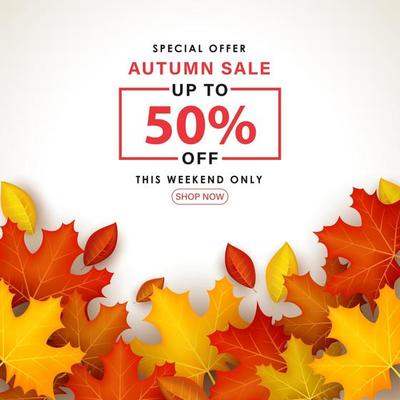 Special Autumn sale with leaves on white background.