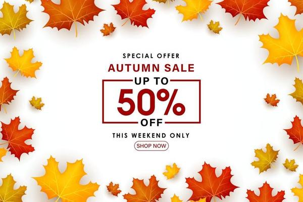 Special Autumn sale leaves scattered on a white background.