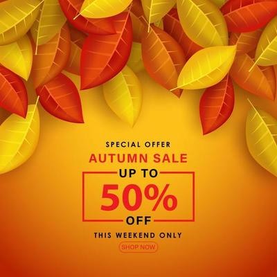 Special Autumn sale with leaves piled on top of each other.