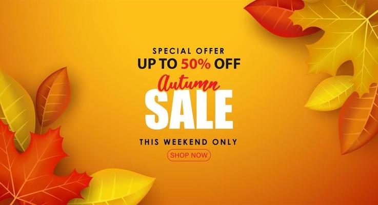 Special Autumn sale with broad leaves on orange background.