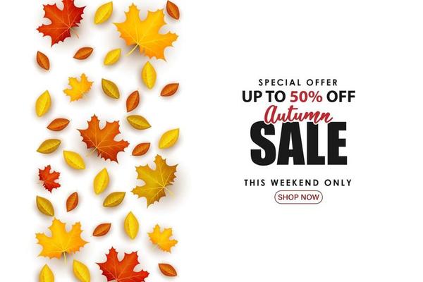 Special Autumn sale with the leaves neatly spread out.
