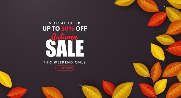 Special Autumn sale with small leaves on black background.