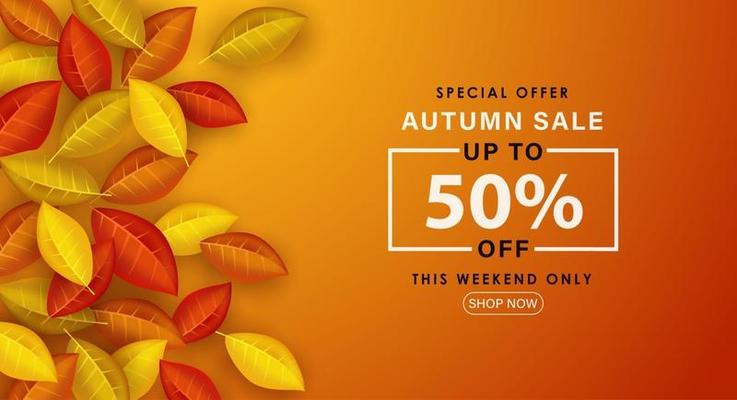 Special Autumn sale with fallen leaves.