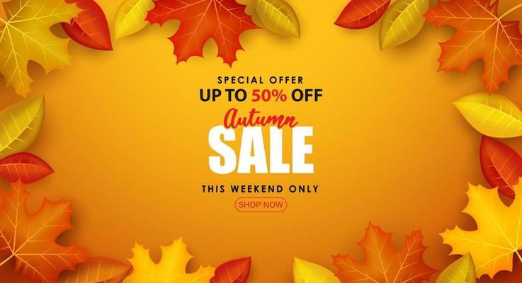 Special Autumn sale with writing surrounded by autumn leaves.