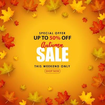 Special Autumn sale with 3d leaf fall illustration.