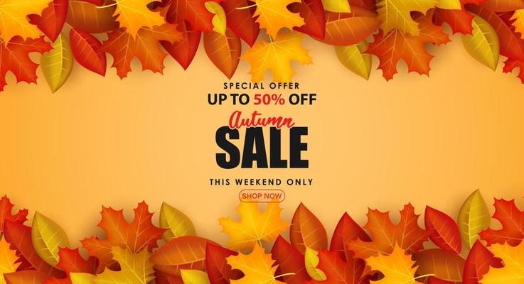 Special Autumn sale with clean classic background.