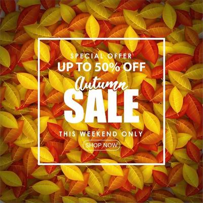 Special Autumn sale with writing on fallen leaves.