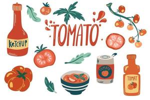 colección de tomates rojos frescos. salsa de tomate, salsa de tomate